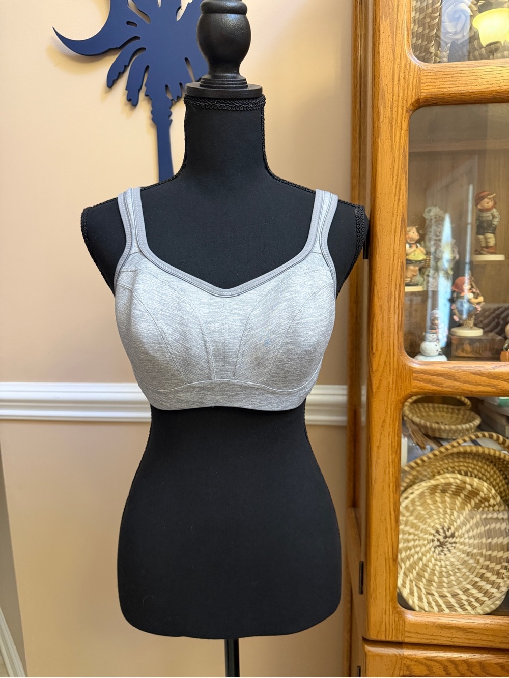 Panache Power Wired Sports Bra